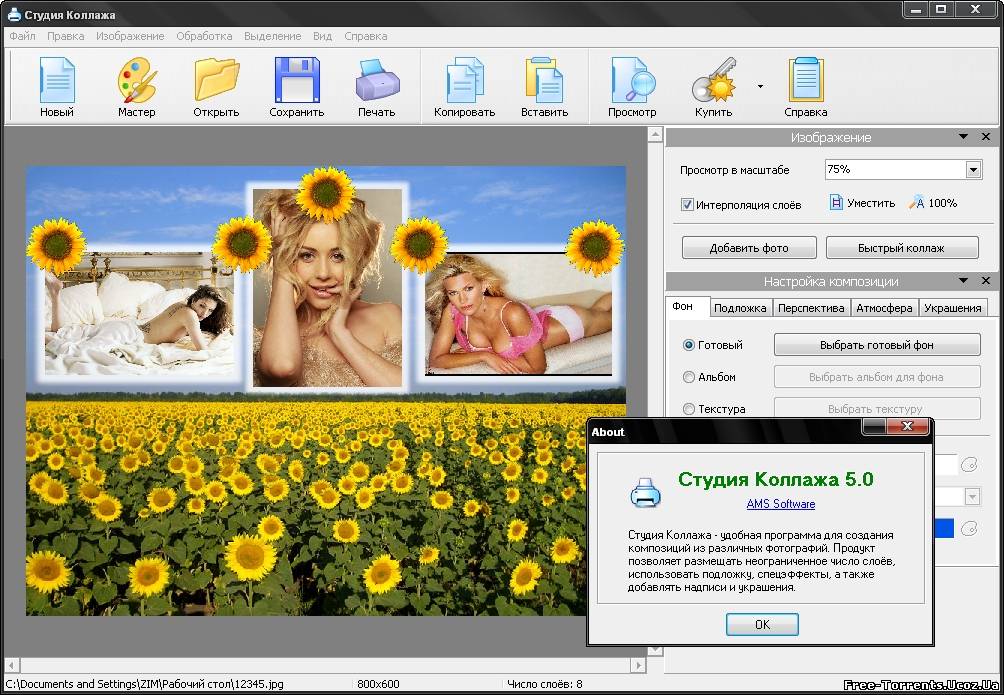 Программа Для Создания Коллажей Из Фотографий - petrotrack